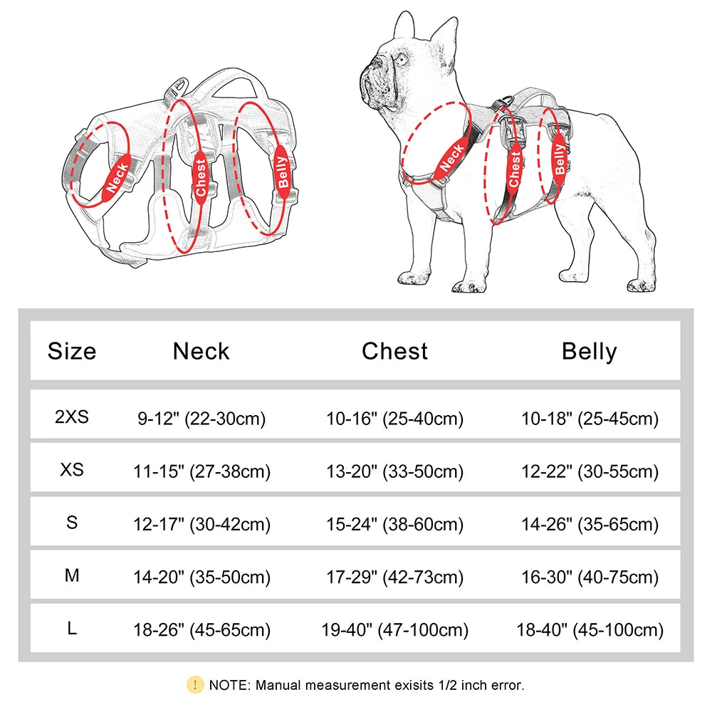 Measurements for Dog Harness